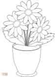 Розмальовка Квіти ромашки в вазоні | Розмальовки для дітей друк онлайн